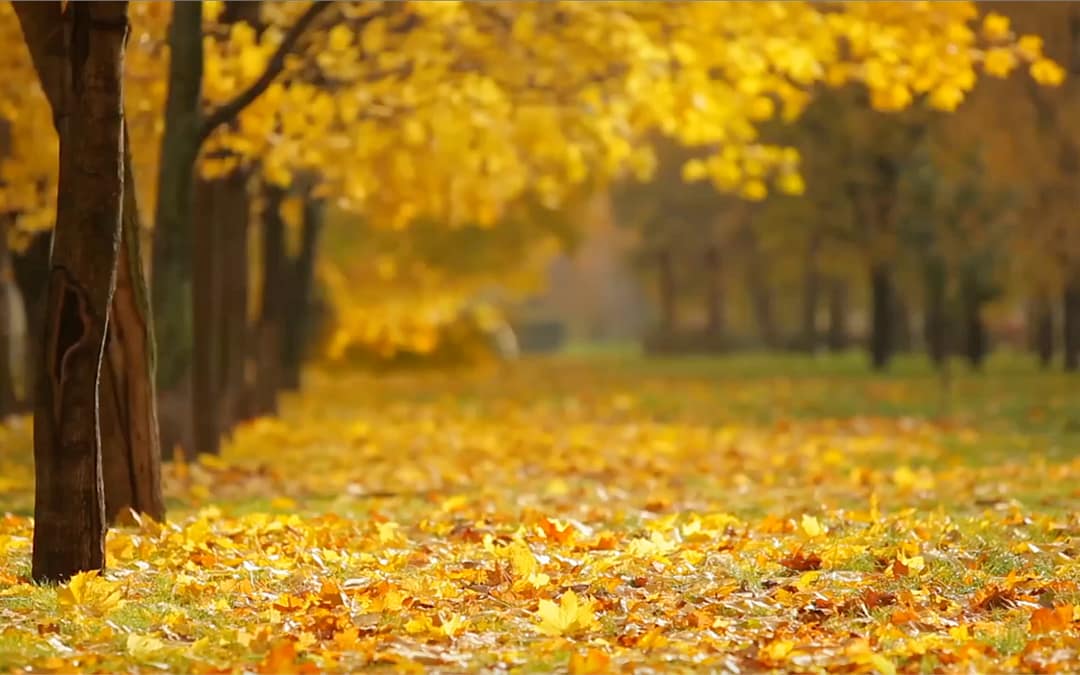 Prioritize What Matters