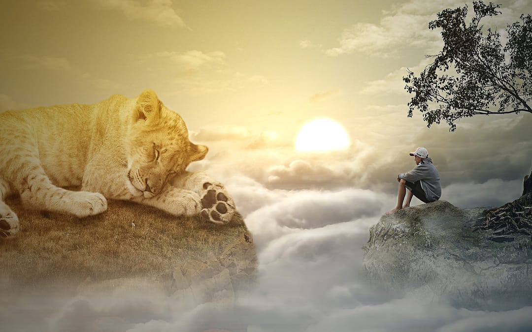 How to Find Lasting Happiness and Joy