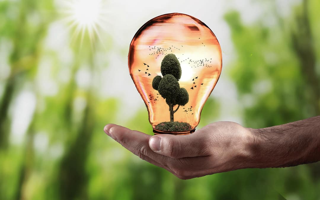 Identify and Mobilize Your Strengths