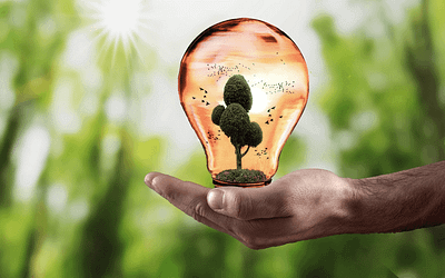 Identify and Mobilize Your Strengths